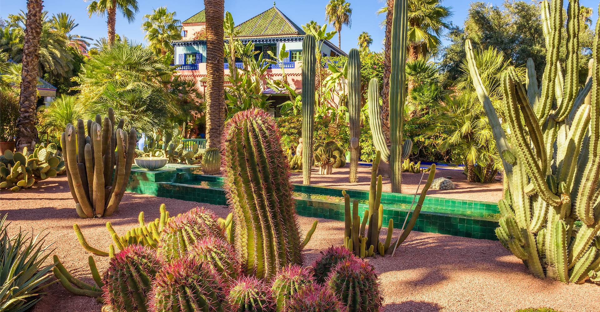 beautiful-Marrakesh-travelwideuk, About-Travel-Wide-Uk