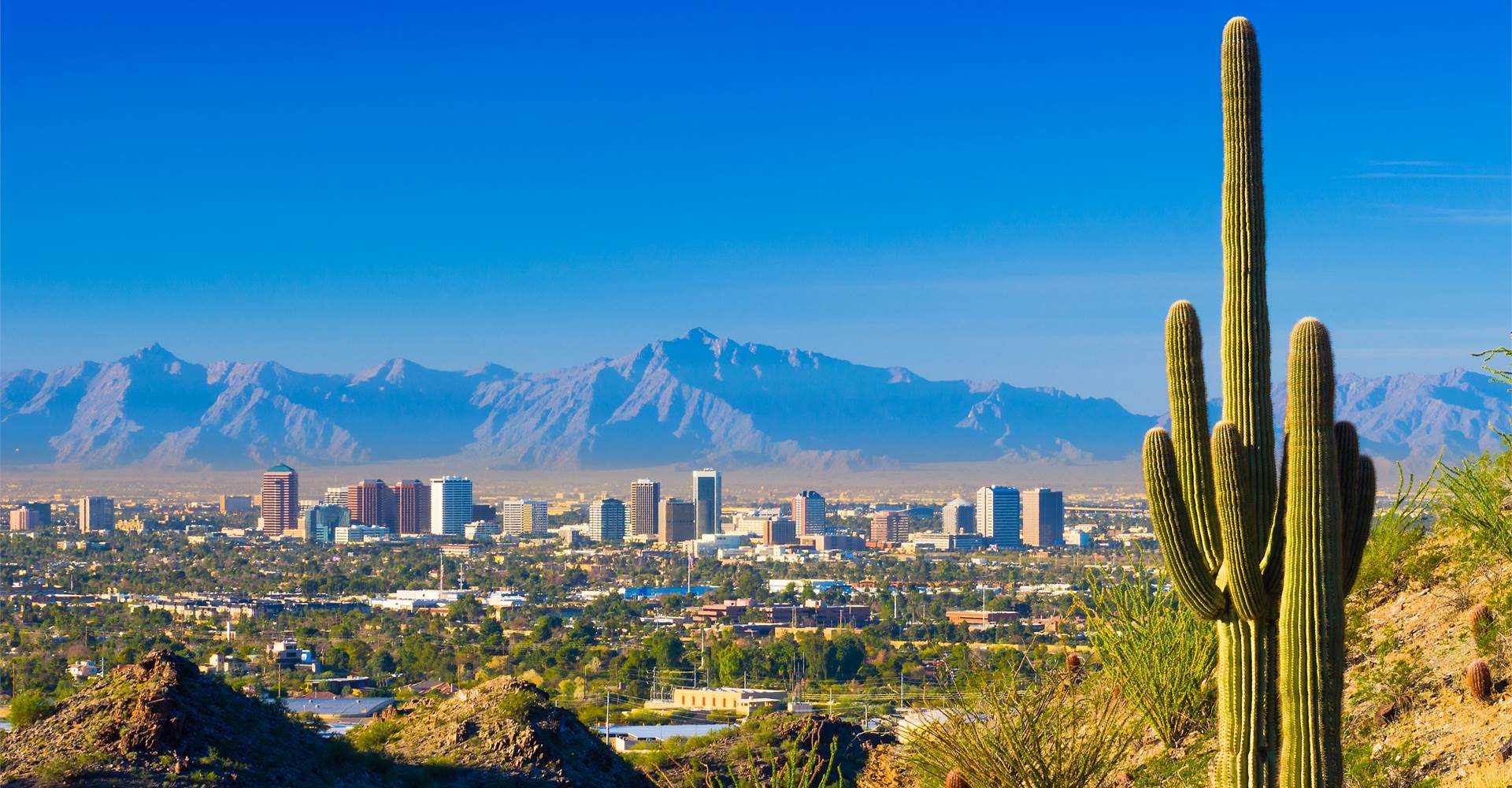 beautiful-Phoenix-travelwideuk, About-Travel-Wide-Uk